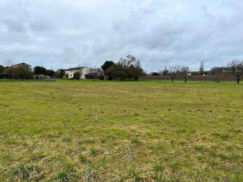 Vente Terrain STE LHEURINE - -2372 m² - (17520)