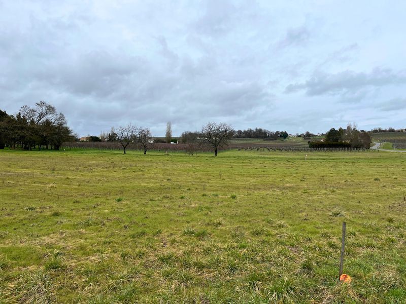 Vente Terrain STE LHEURINE - -1160 m² - (17520)