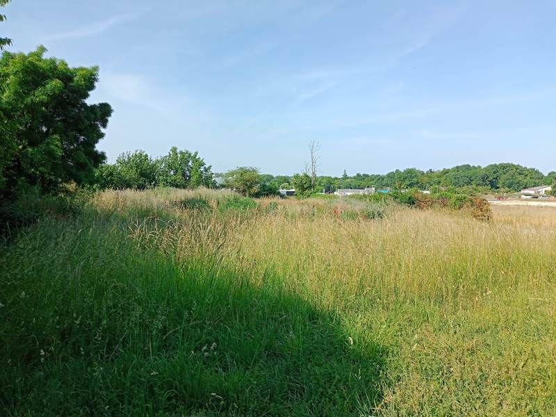 Vente Terrain JONZAC - -698 m² - (17500)