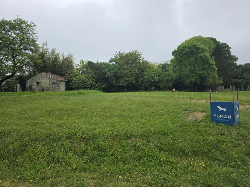 Vente Terrain JONZAC - -698 m² - (17500)