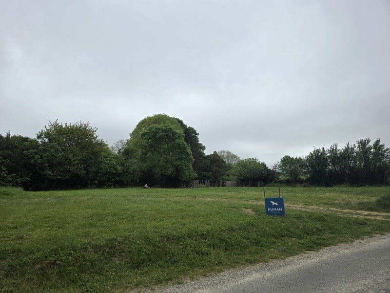 Vente Terrain JONZAC - -698 m² - (17500)