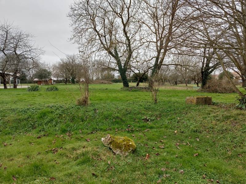 Vente Terrain CLION - -4593 m² - (17240)