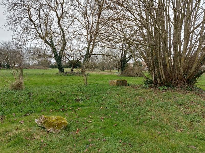 Vente Terrain CLION - -4593 m² - (17240)