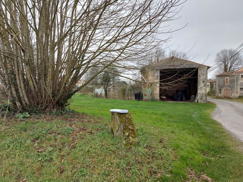 Vente Terrain CLION - -4593 m² - (17240)
