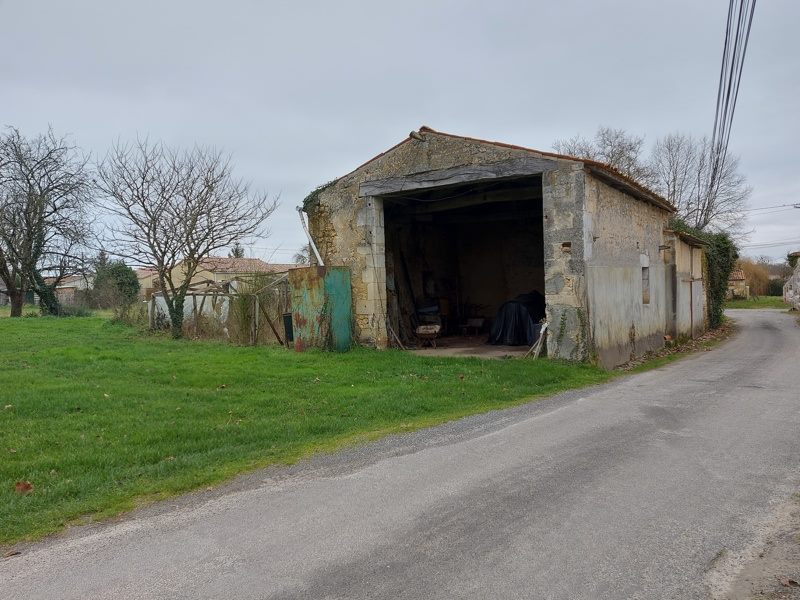 Vente Terrain CLION - -4593 m² - (17240)