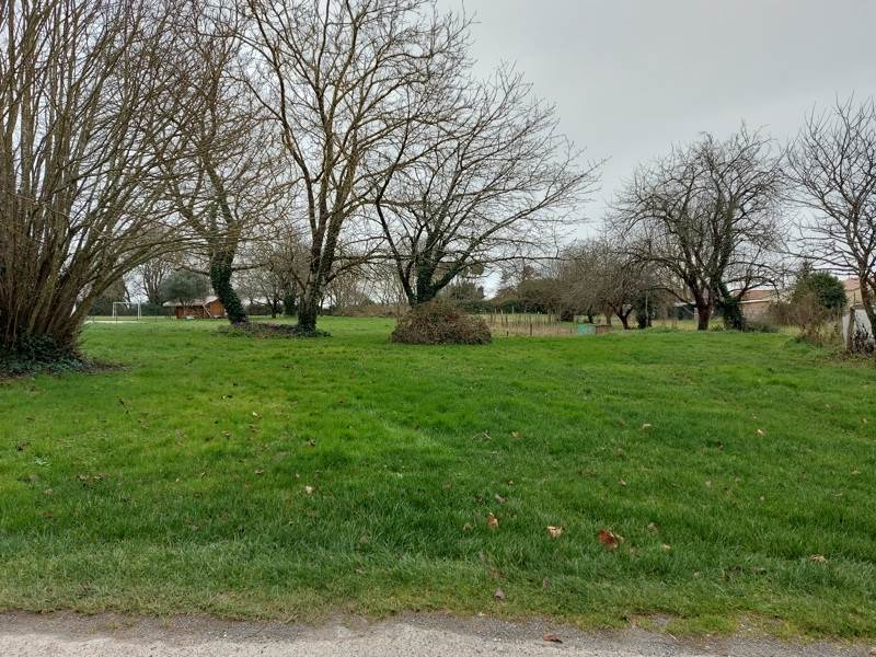 Vente Terrain CLION - -4593 m² - (17240)