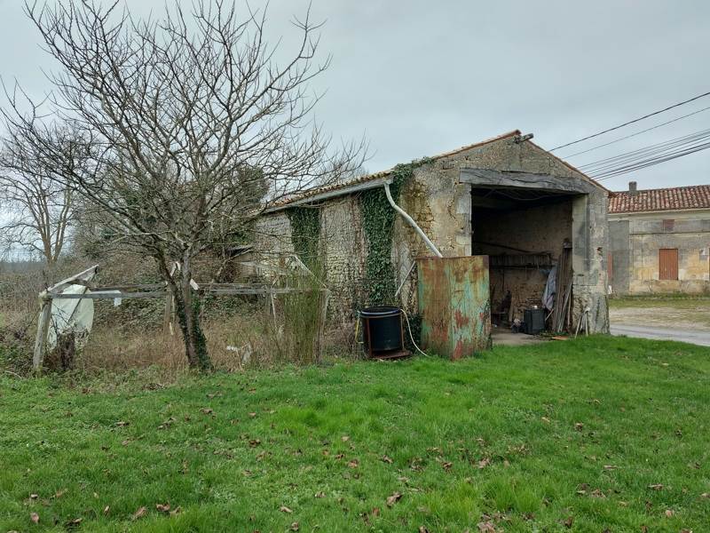 Vente Terrain CLION - -4593 m² - (17240)