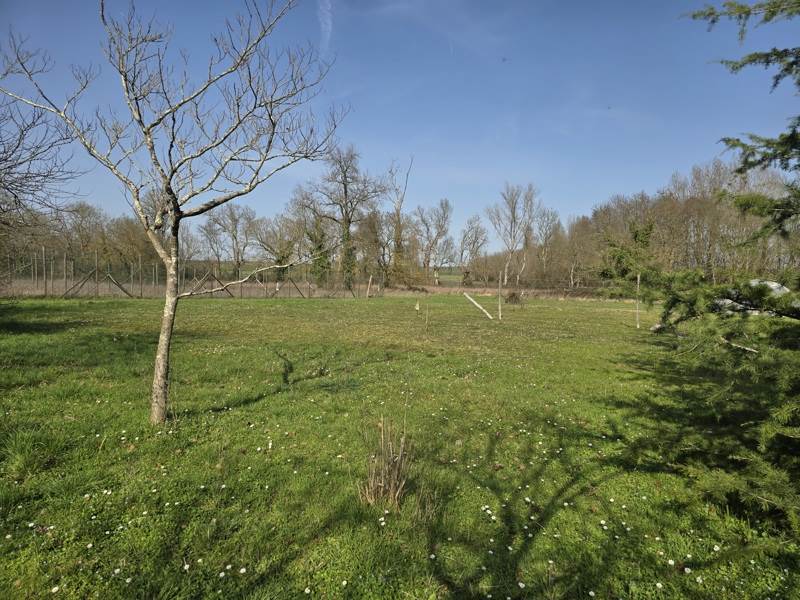 Vente Maison ST CIERS CHAMPAGNE - 4 pièces -127 m² - (17520)
