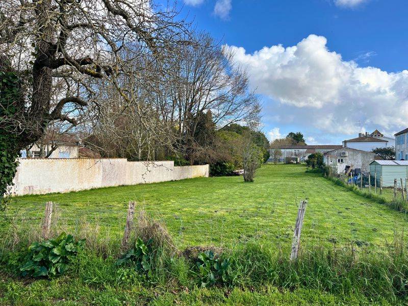 Vente Terrain MOSNAC - -1154 m² - (17240)