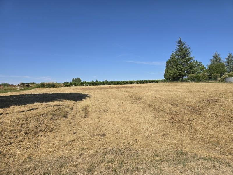 Vente Terrain CLION - -2717 m² - (17240)