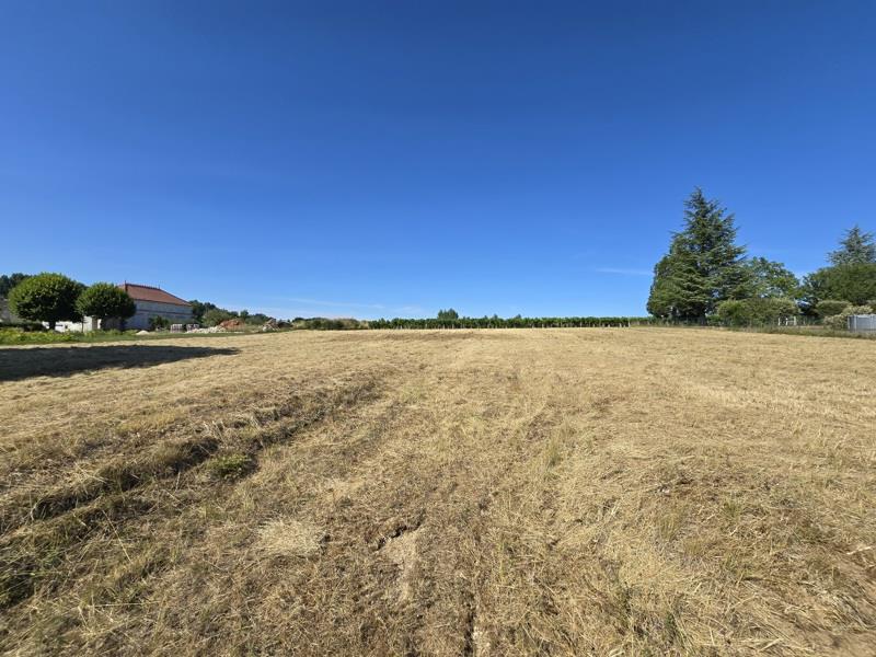 Vente Terrain CLION - -2717 m² - (17240)