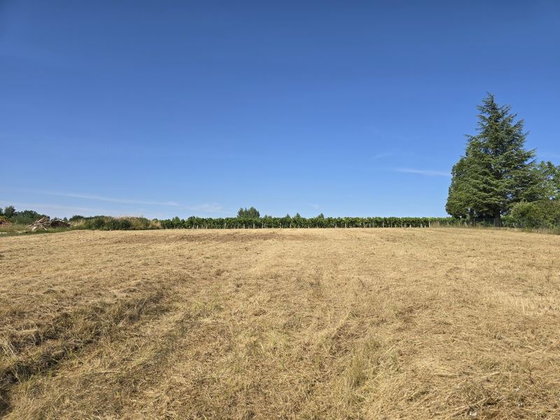 Vente Terrain CLION - -1350 m² - (17240)