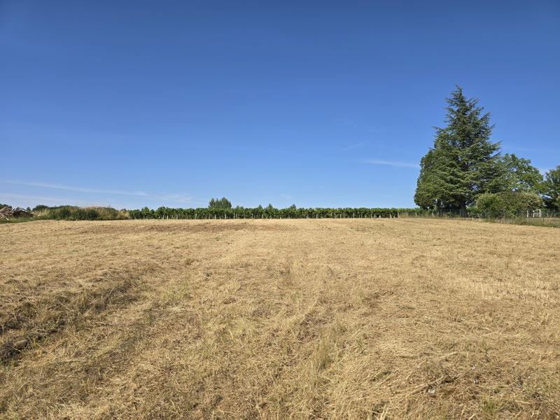 Vente Terrain CLION - -1350 m² - (17240)