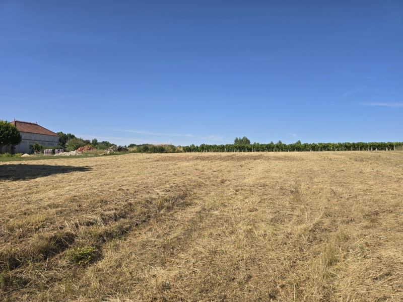 Vente Terrain CLION - -1350 m² - (17240)
