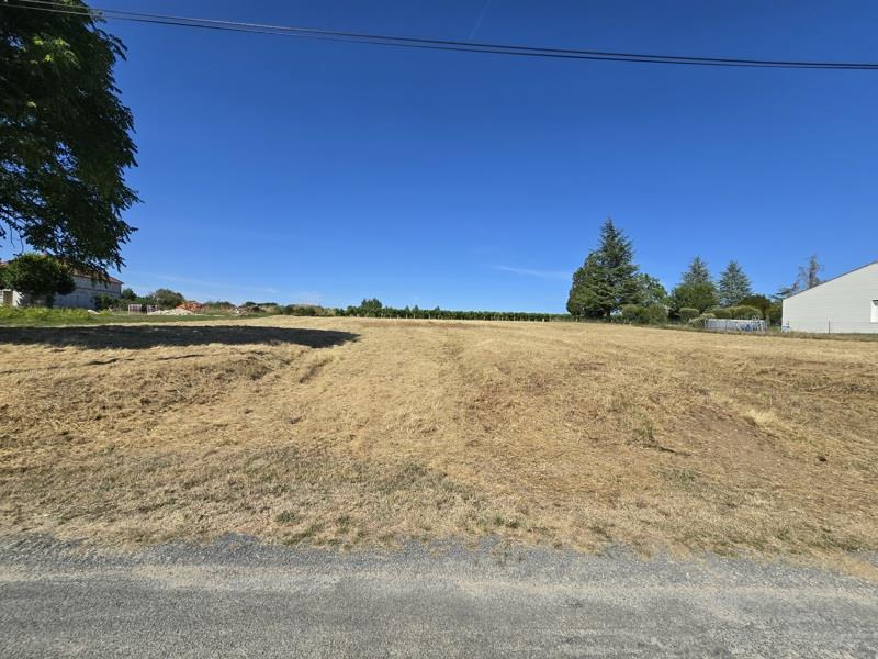 Vente Terrain CLION - -1350 m² - (17240)