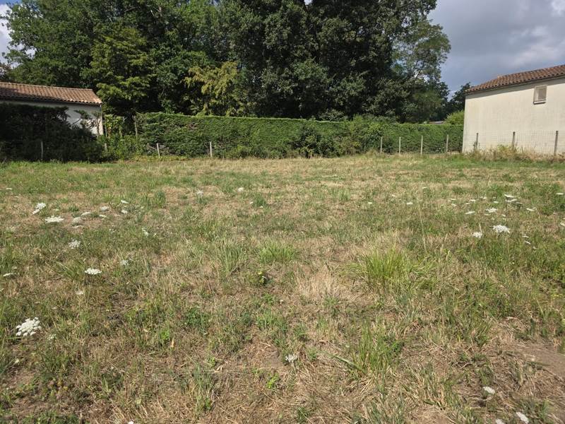Vente Terrain Jonzac - -455 m² - (17500)