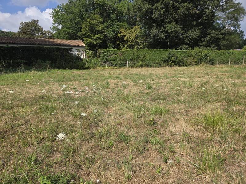 Vente Terrain Jonzac - -455 m² - (17500)