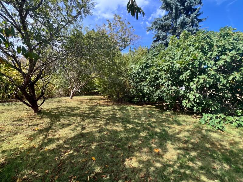 Vente Maison JONZAC - 3 pièces -55 m² - (17500)