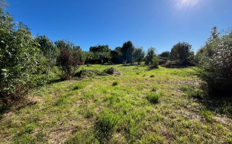 Vente Terrain MONTGISCARD - -1779 m² - (31450)