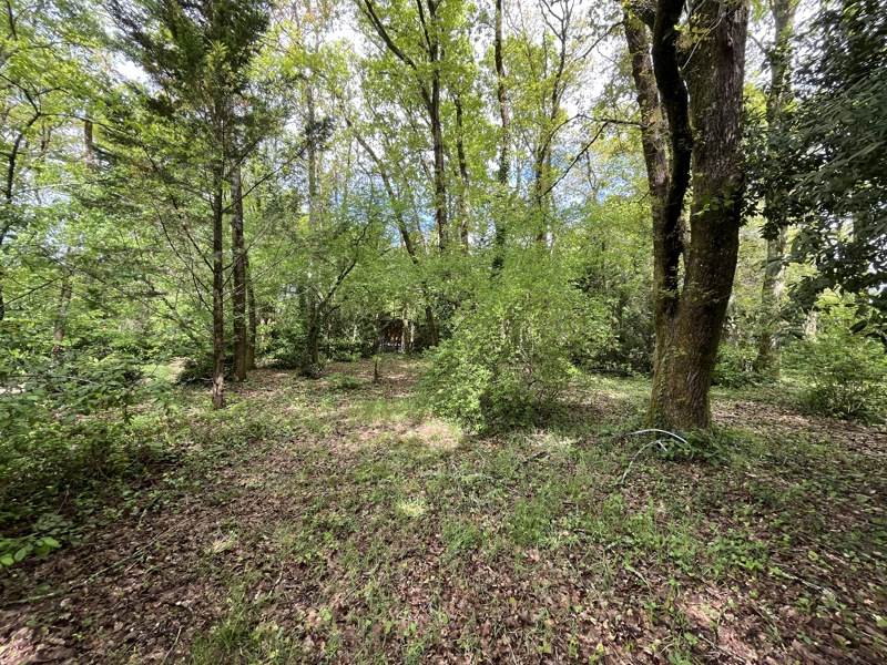 Vente Maison MARTIGNAS SUR JALLE - 8 pièces -248 m² - (33127)