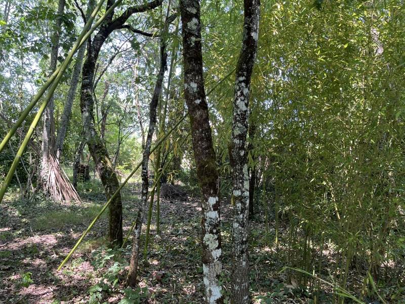 Vente Terrain MARTIGNAS SUR JALLE - -810 m² - (33127)