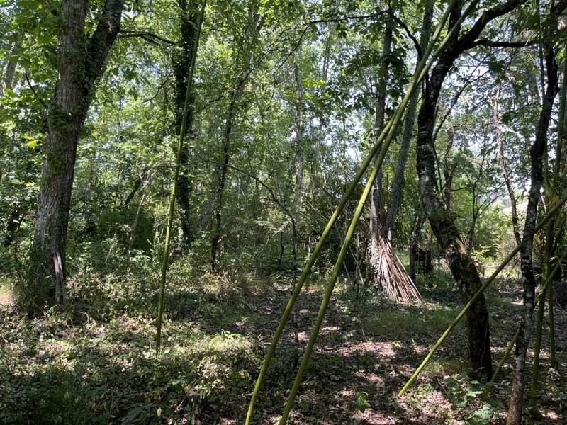 Vente Terrain MARTIGNAS SUR JALLE - -810 m² - (33127)