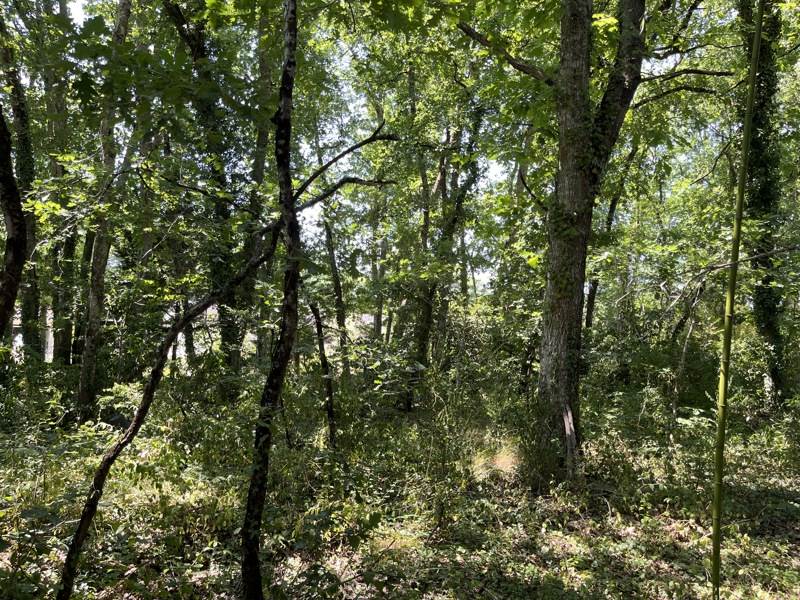 Vente Terrain MARTIGNAS SUR JALLE - -810 m² - (33127)