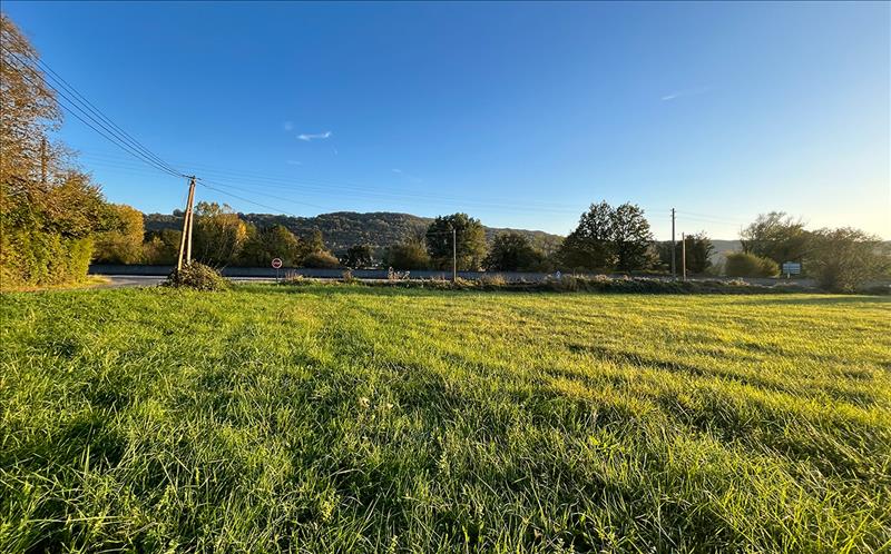 Vente Terrain Terrasson-Lavilledieu - -7277 m² - (24120)