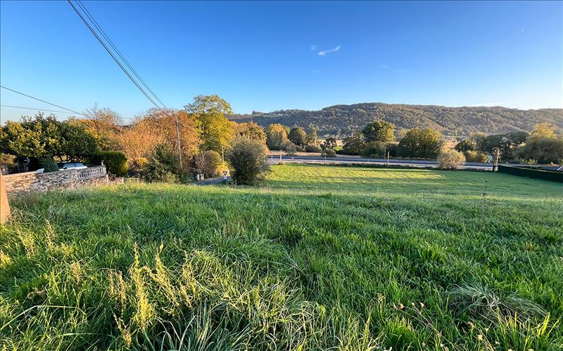 Vente Terrain Terrasson-Lavilledieu - -7277 m² - (24120)