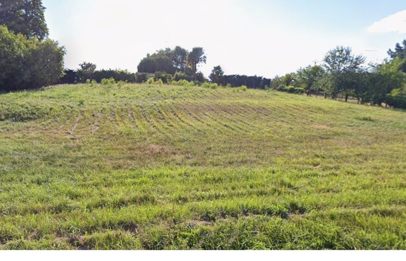 Vente Terrain TERRASSON LAVILLEDIEU - -2870 m² - (24120)