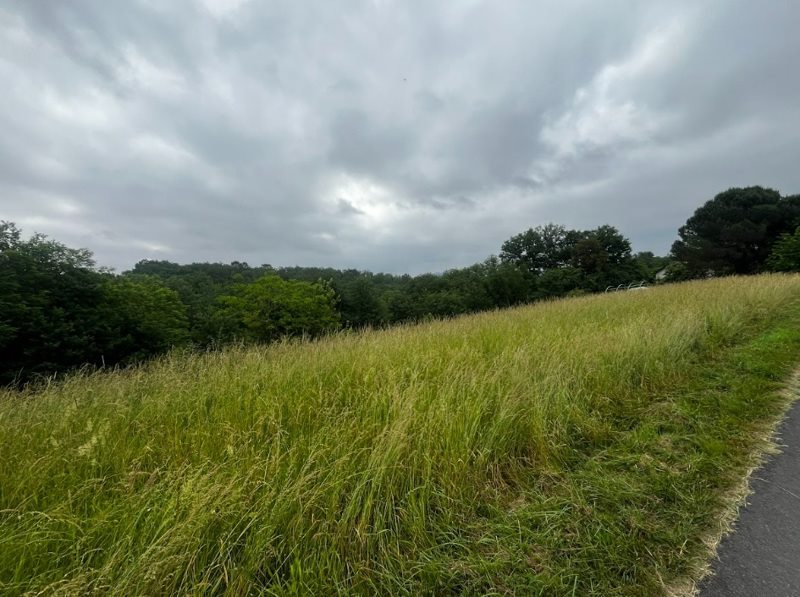 Vente Terrain MANSAC - -1555 m² - (19520)