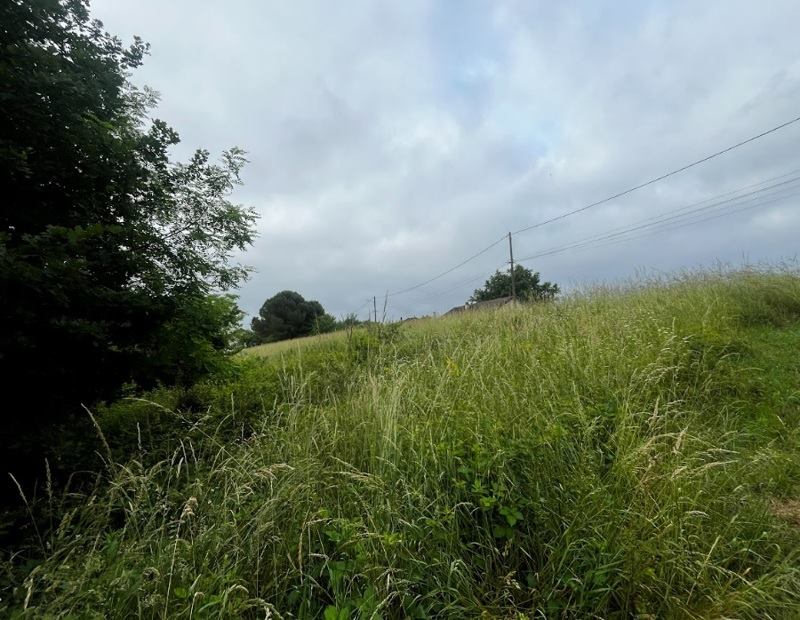 Vente Terrain MANSAC - -1555 m² - (19520)
