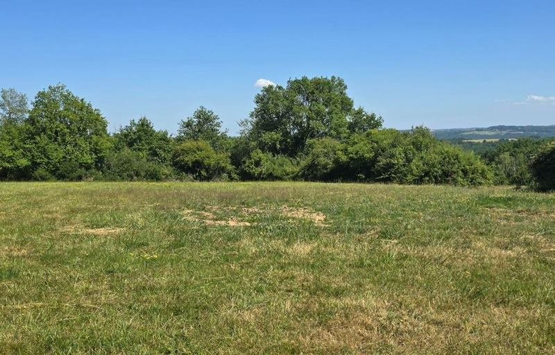 Vente Terrain BEAUREGARD DE TERRASSON - -1756 m² - (24120)