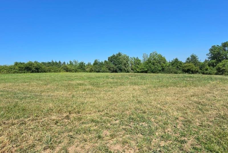 Vente Terrain BEAUREGARD DE TERRASSON - -2599 m² - (24120)