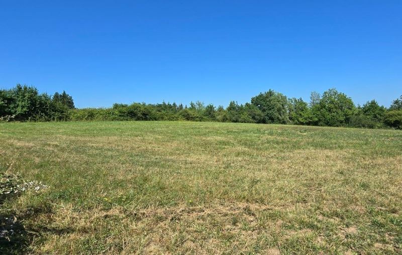 Vente Terrain BEAUREGARD DE TERRASSON - -2599 m² - (24120)