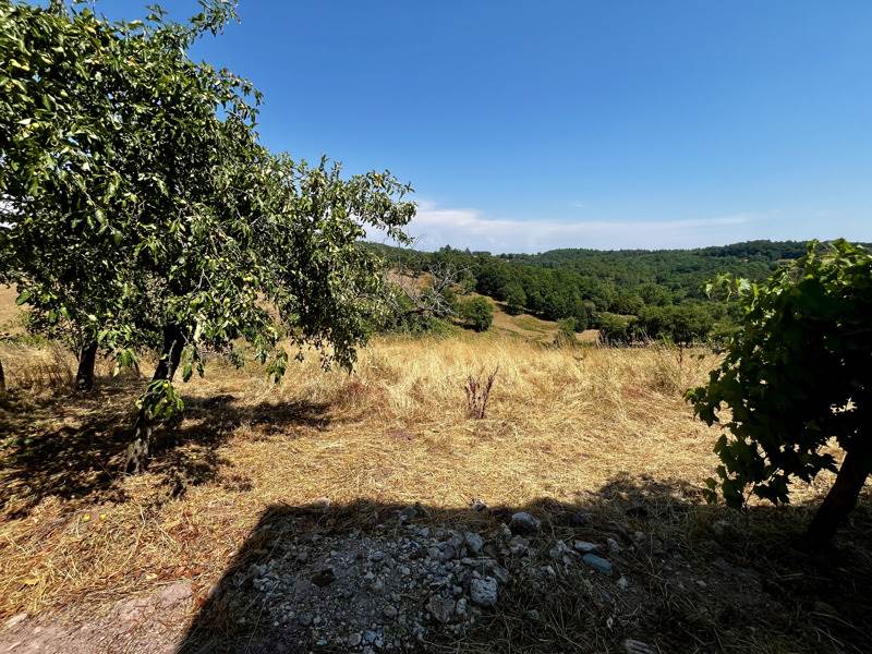 Vente Maison VILLAC - 3 pièces -89 m² - (24120)