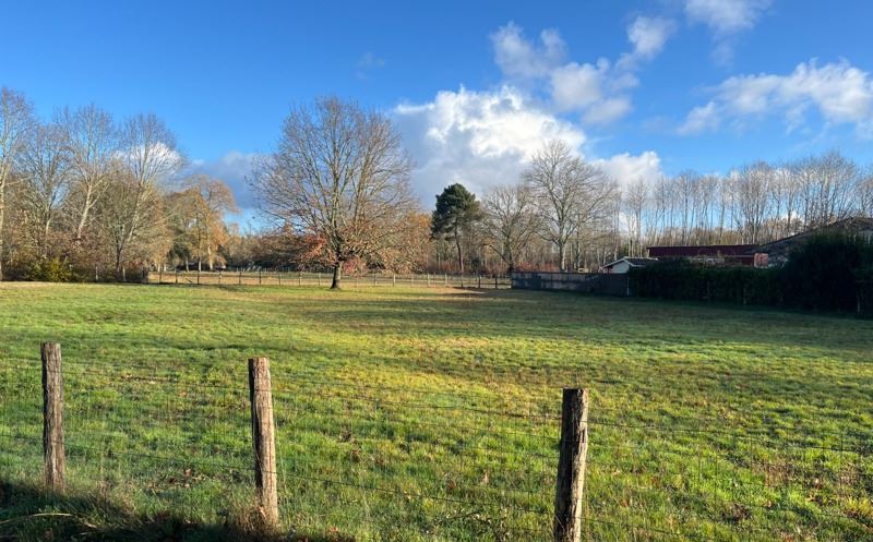 Vente Terrain LOUCHATS - -1587 m² - (33125)