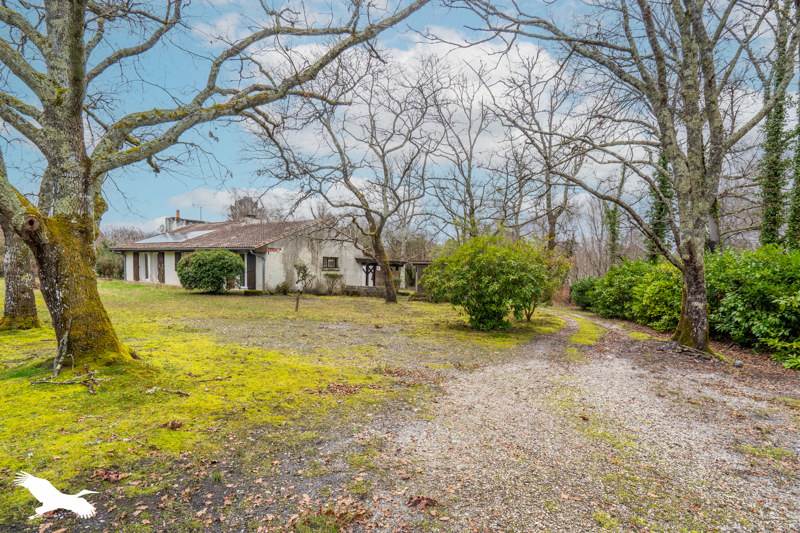 Vente Maison ST MICHEL DE RIEUFRET - 6 pièces -188 m² - (33720)