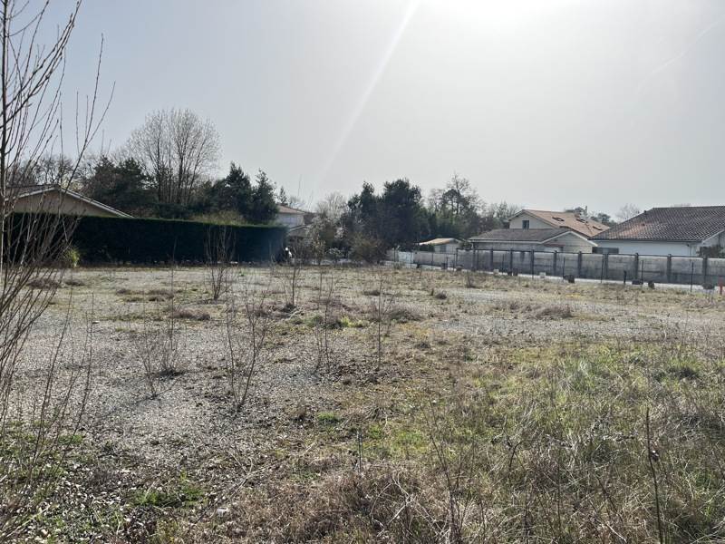Vente Terrain LA BREDE - -1198 m² - (33650)