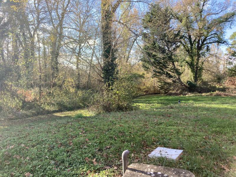 Vente Terrain LA BREDE - -1312 m² - (33650)