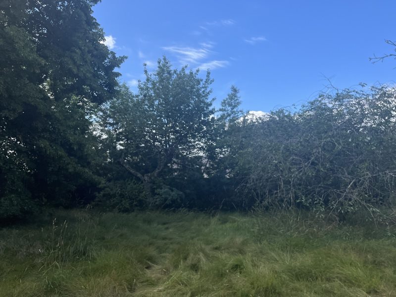 Vente Terrain ST SELVE - -702 m² - (33650)