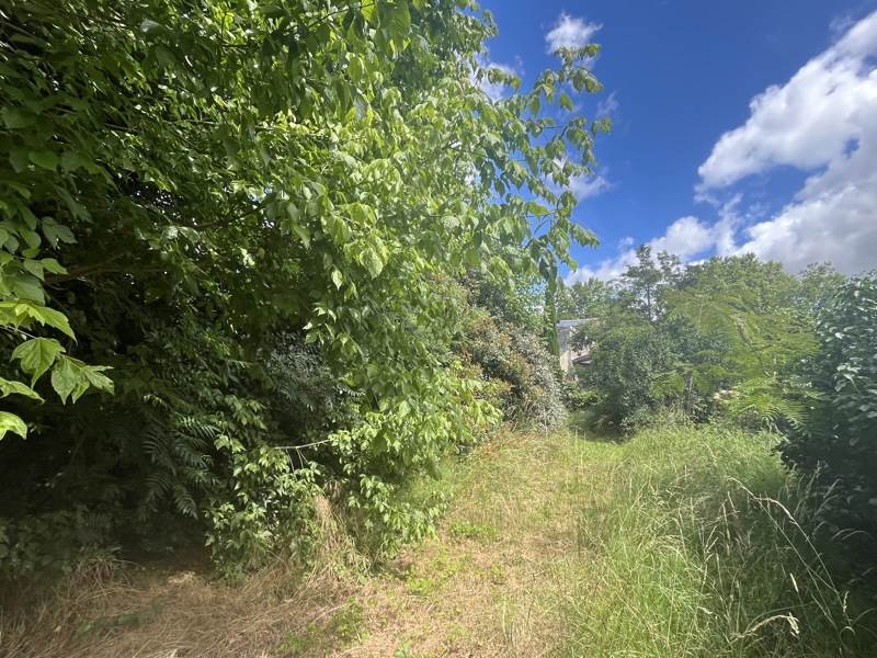 Vente Terrain ST SELVE - -702 m² - (33650)