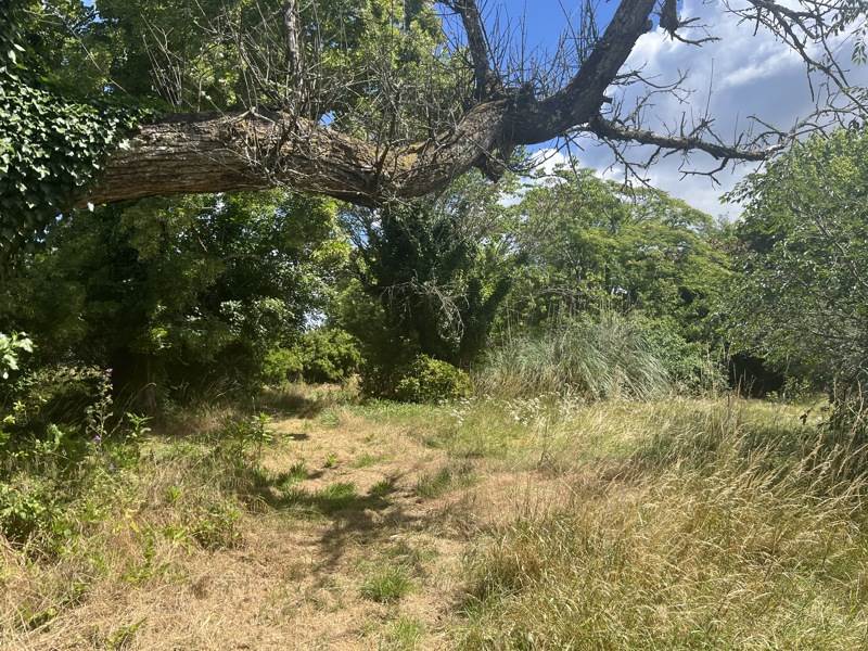 Vente Terrain ST SELVE - -1000 m² - (33650)
