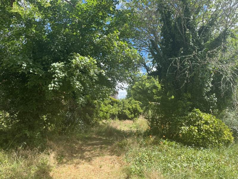 Vente Terrain ST SELVE - -1000 m² - (33650)