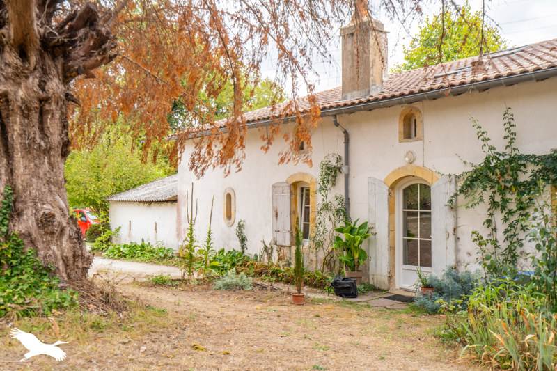 Vente Maison LA BREDE - 5 pièces -170 m² - (33650)