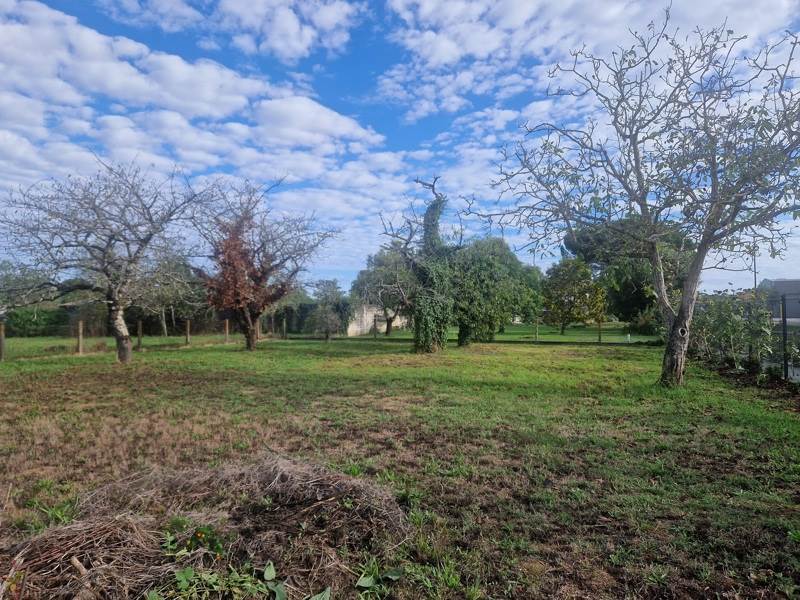 Vente Terrain MARMANDE - -667 m² - (47200)