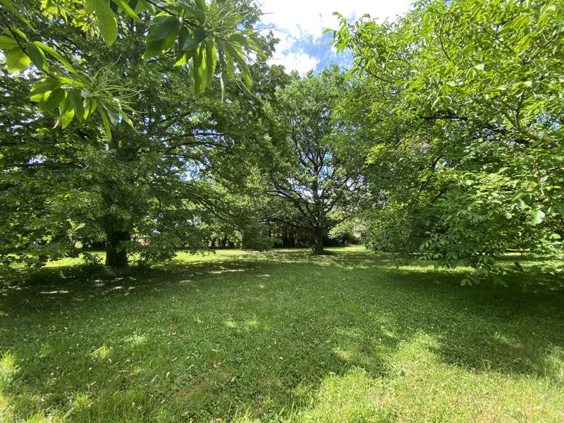 Vente Maison Beaupuy - 14 pièces -417 m² - (47200)