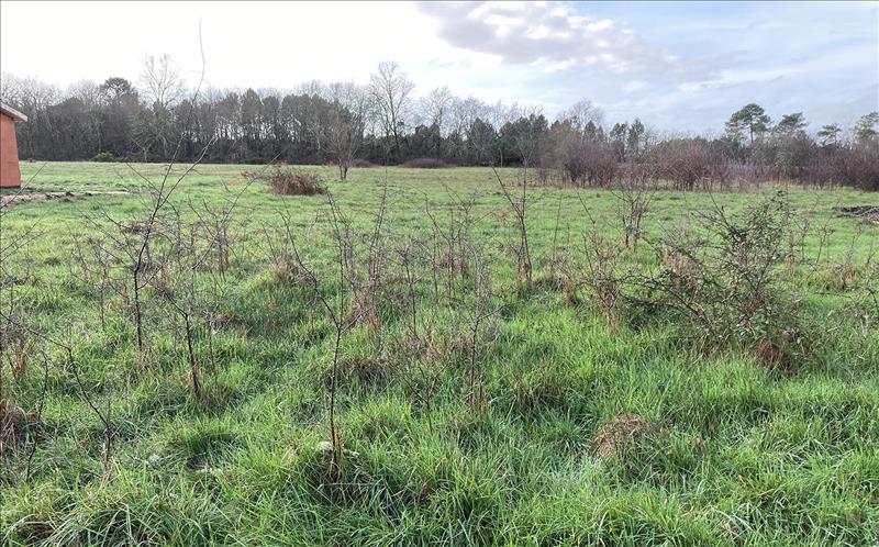 Vente Terrain LEOGNAN - -1012 m² - (33850)