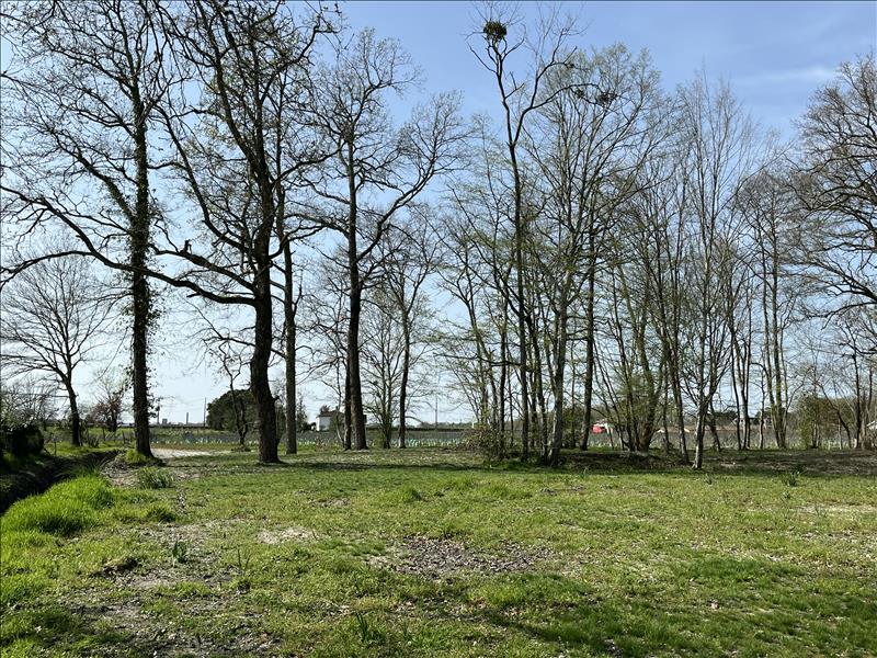 Vente Terrain LEOGNAN - -2183 m² - (33850)