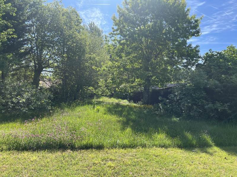 Vente Terrain LEOGNAN - -988 m² - (33850)